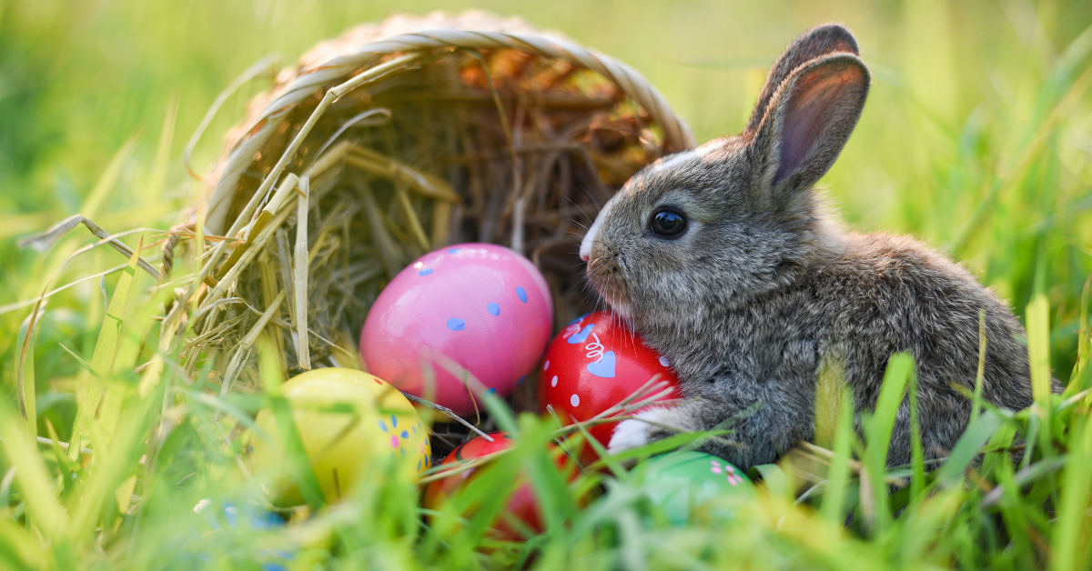 t-shirt.ca news & updates (72).png